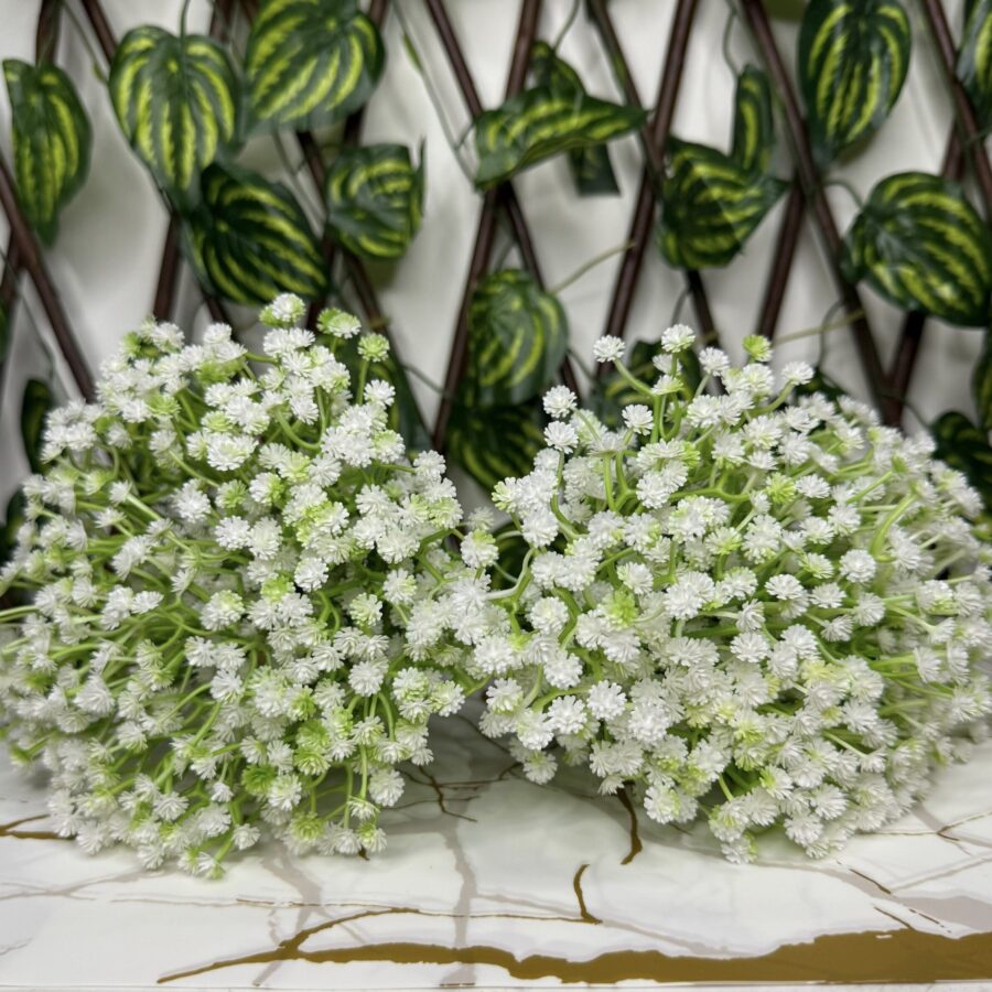 Tallo de flores